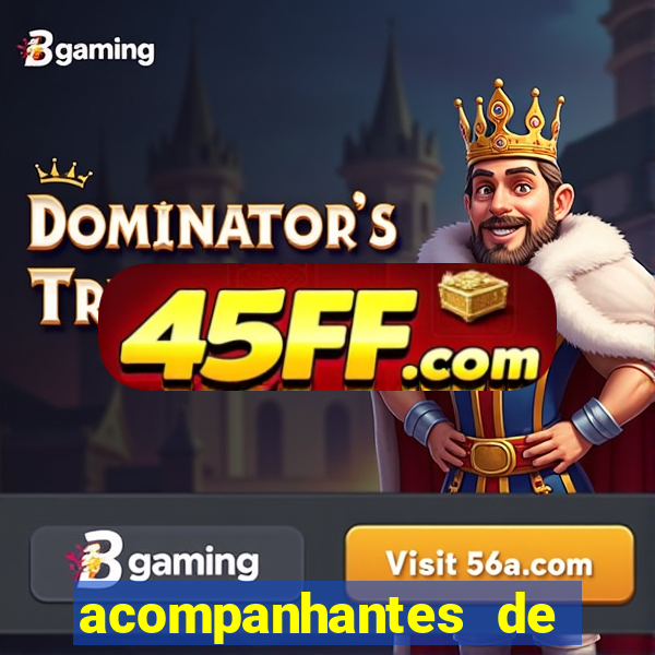acompanhantes de luxo porto feliz